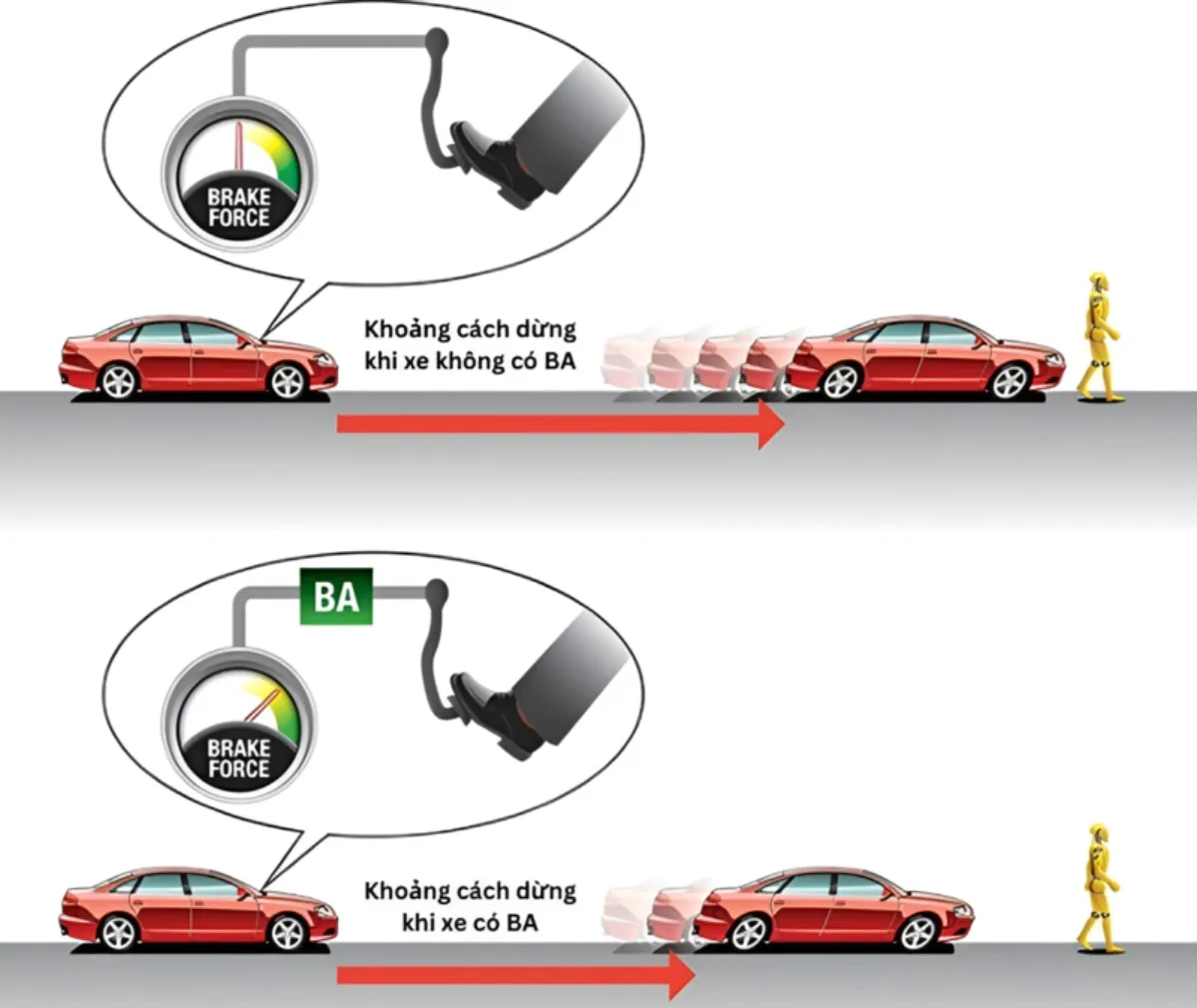 Brake Assist hỗ trợ lực phanh tối đa khi người lái chưa kịp phản xạ đủ mạnh