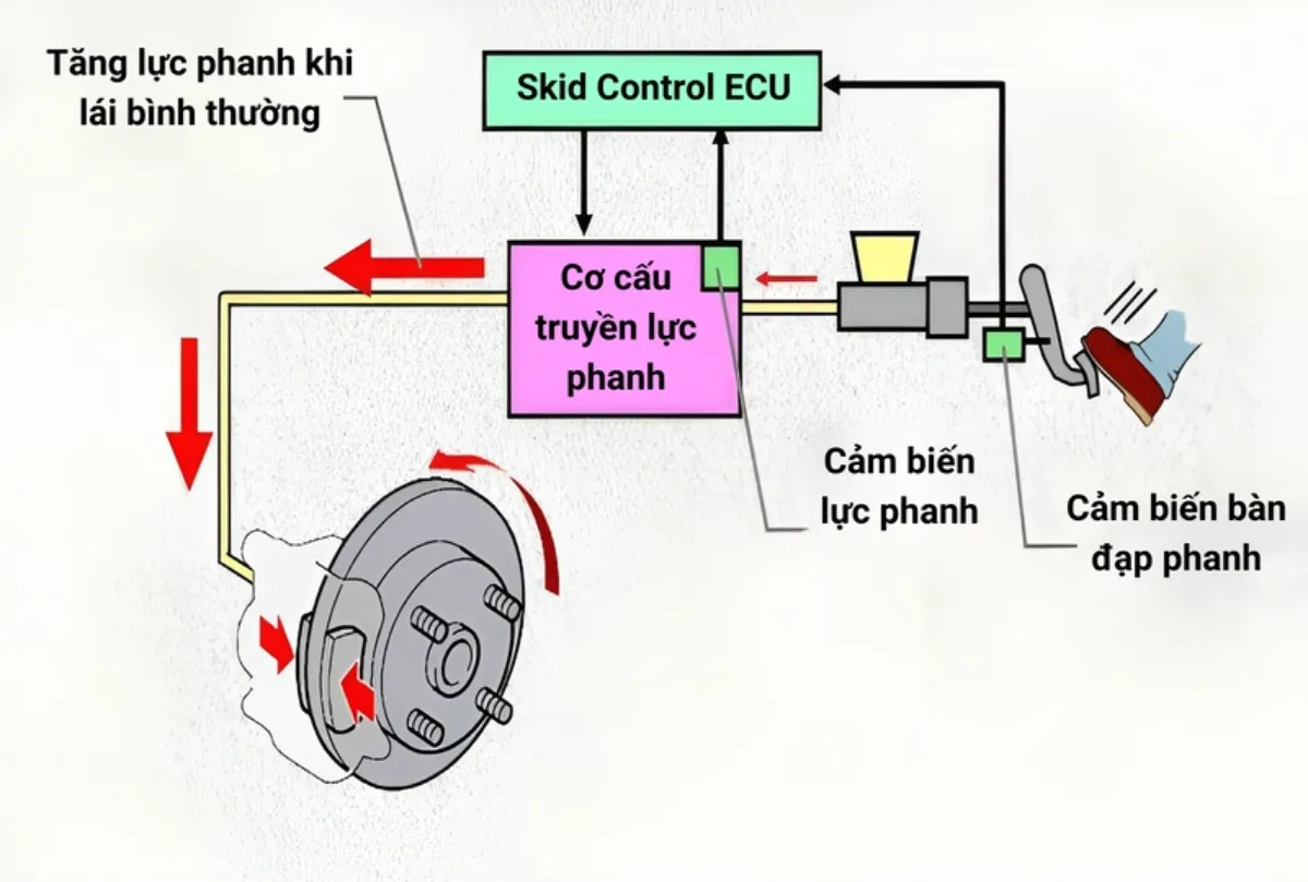 Hệ thống hỗ trợ lực phanh khẩn cấp (BA)