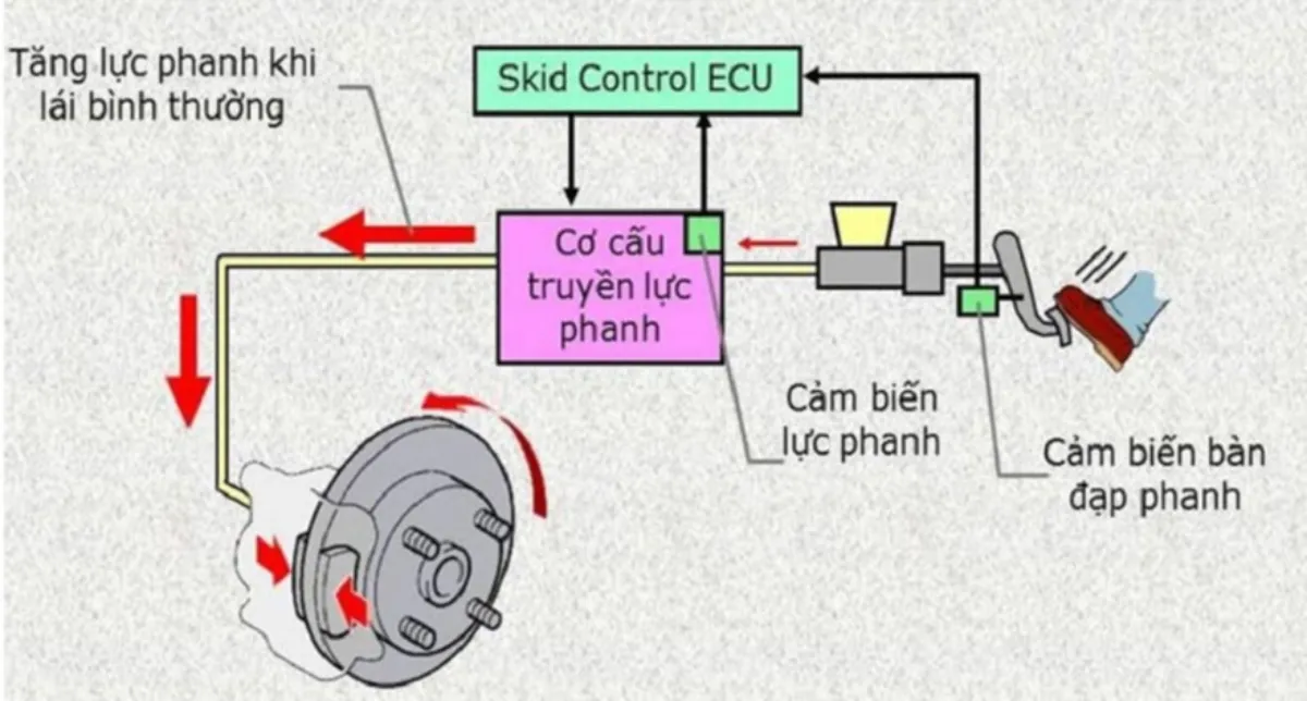 Cơ chế hoạt động của phanh tự động khẩn cấp