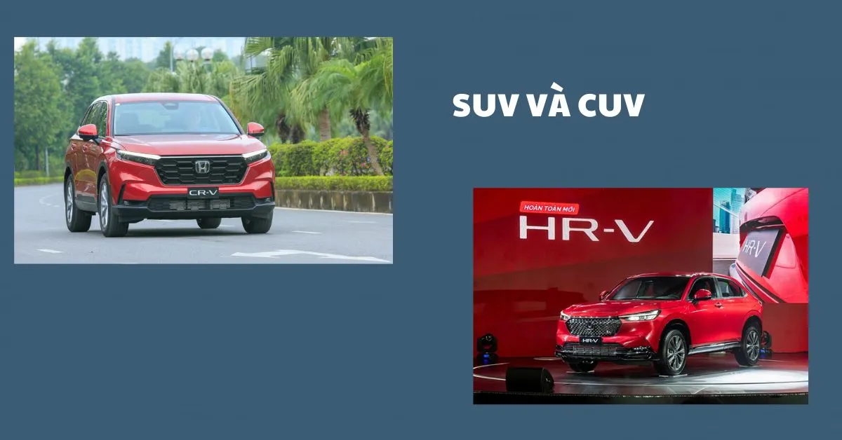 SUV và CUV