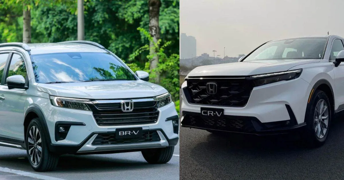 MPV và SUV