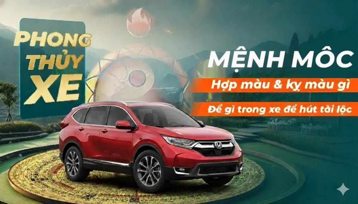 Mệnh Mộc nên để gì trong xe ô tô