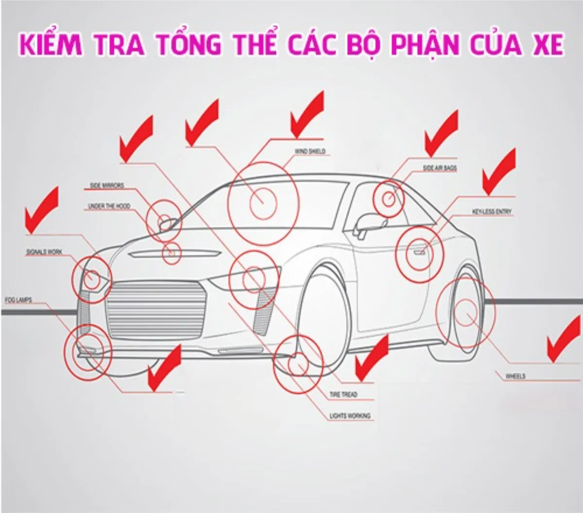 Checklist kiểm tra ngoại thất xe mới 